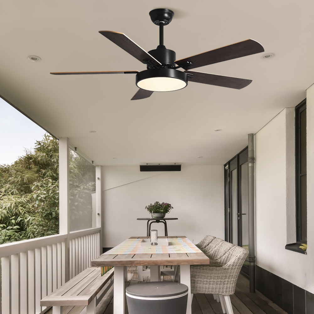 Outdoor Ceiling Fan