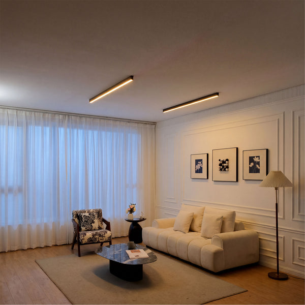 Two black Modern Ceiling Light fixtures
installed above a warm living room seating area, showing balanced ambient lighting for everyday comfort.