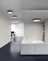 WOMO Oak Grain Round Ceiling Light-WM1017 thumbnail