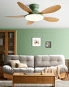 WOMO 5 Blade Low Profile Ceiling Fan Lamp - WM5194 thumbnail