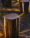 WOMO Stump Bollard Light-WM9172 thumbnail