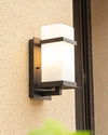 WOMO Frosted Glass Outdoor Wall Sconce-WM9202 thumbnail