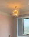 WOMO Dandelion Starburst Crystal Chandelier-WM2004 thumbnail