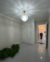 WOMO Capiz Round Chandelier-WM2474 thumbnail