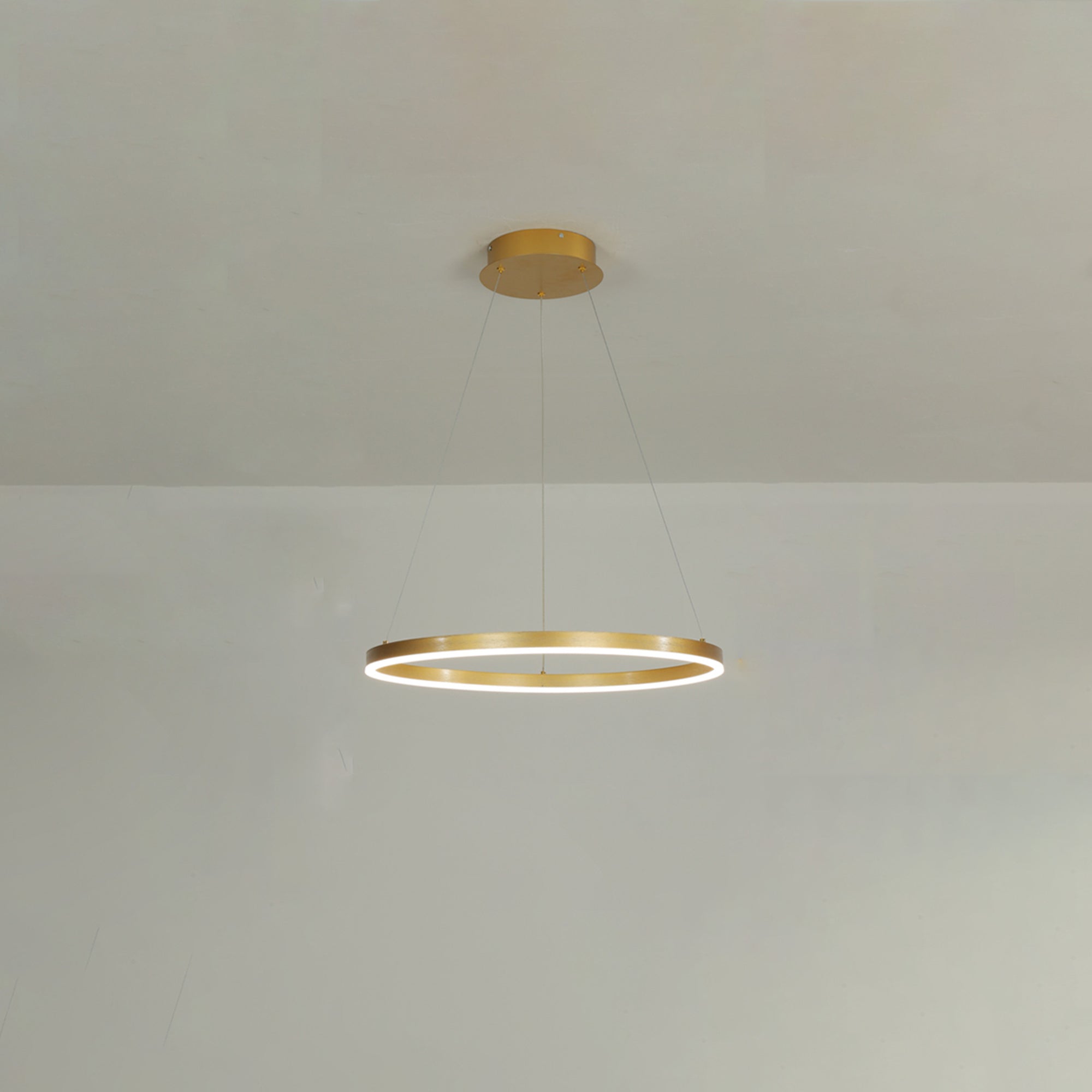 WOMO Ring LED Pendant Light-WM2030