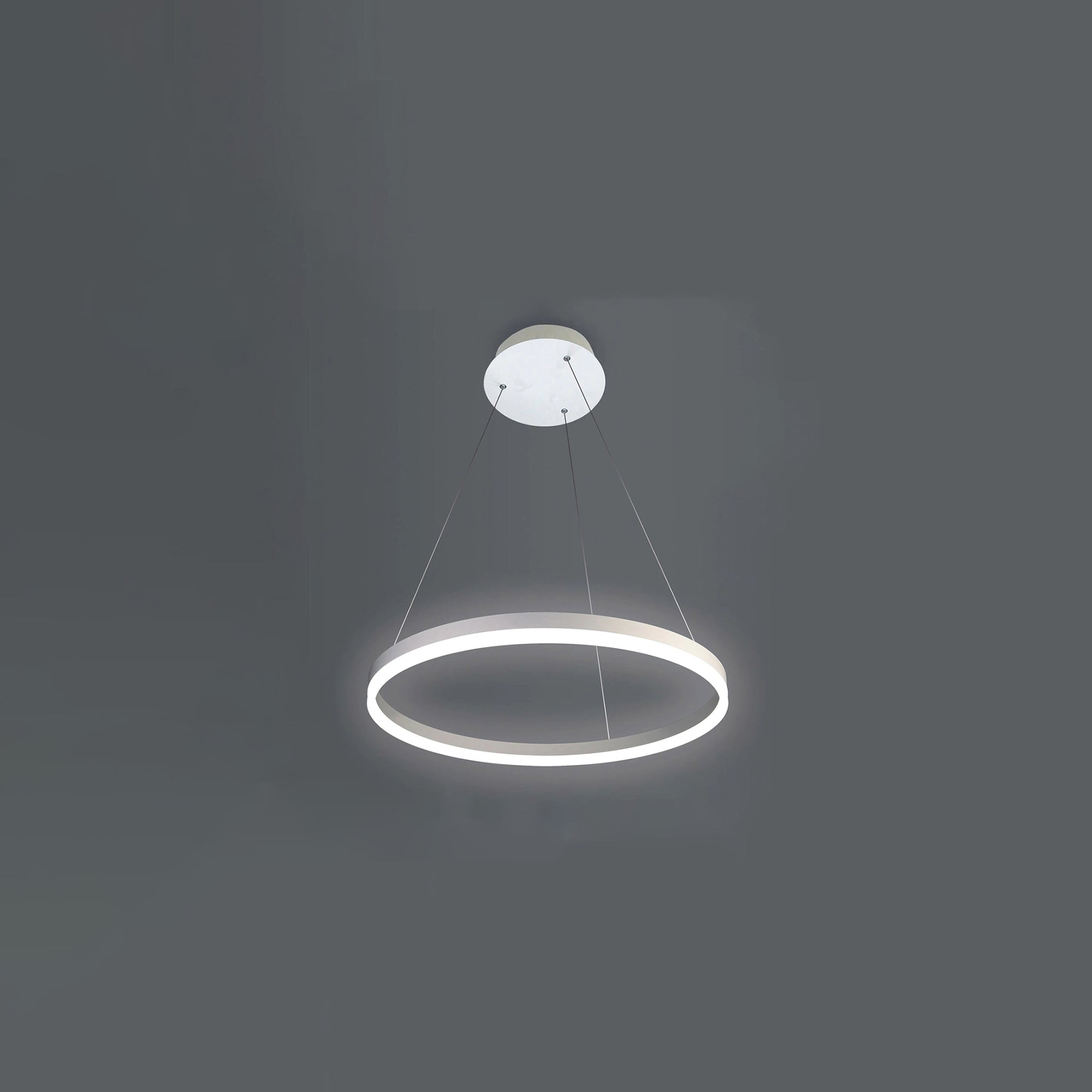 WOMO Ring LED Pendant Light-WM2030