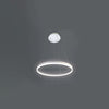 WOMO Ring LED Pendant Light-WM2030 thumbnail