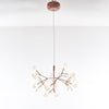 WOMO Heracleum/Firefly Branch Chandelier-WM2072 thumbnail