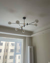 WOMO Milk Glass Globe Chandelier-WM2081 thumbnail