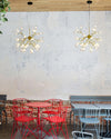 WOMO Heracleum/Firefly Chandelier-WM2113 thumbnail