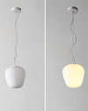 WOMO Lantern Blown Glass Pendant Light-WM2151 thumbnail