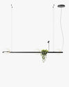 WOMO Plant Globe Pendant Light-WM2155 thumbnail
