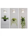 WOMO Plant Globe Pendant Light-WM2155 thumbnail
