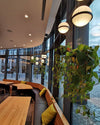 WOMO Plant Globe Pendant Light-WM2155 thumbnail