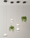 WOMO Plant Globe Pendant Light-WM2155 thumbnail