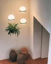 WOMO Plant Globe Pendant Light-WM2155 thumbnail