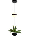 WOMO Plant Globe Pendant Light-WM2155 thumbnail