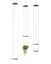 WOMO Plant Globe Pendant Light-WM2155 thumbnail
