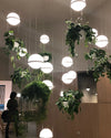 WOMO Plant Globe Pendant Light-WM2155 thumbnail