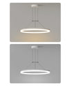 WOMO Circular Led Chandelier-WM2170 thumbnail