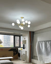 WOMO Glass Globe Brass Arm Chandelier-WM2255 thumbnail