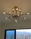 WOMO Glass Globe Brass Arm Chandelier-WM2255 thumbnail