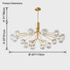 WOMO Glass Globe Brass Chandelier-WM2372 thumbnail