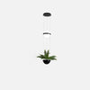 WOMO Plant Globe Pendant Light-WM2155 thumbnail