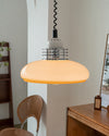 WOMO Glass Dome Pull down Pendant Light-WM2582 thumbnail