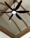 WOMO 5 Black Blade Large Ceiling Fan Lamp-WM5042 thumbnail