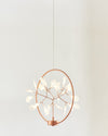 WOMO Heracleum/Firefly Small Chandelier-WM2438 thumbnail