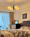 WOMO Dome Glass Arm Chandelier-WM2943 thumbnail