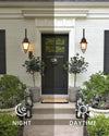WOMO Colonial Outdoor Wall Light-WM9213 thumbnail