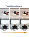 WOMO Modern Farmhouse Small Ceiling Fan Lamp-WM5046 thumbnail