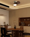 WOMO 22 Inch Low Profile Ceiling Fan Lamp - WM5148 thumbnail