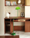 WOMO Dome Glass Telescoping Floor Lamp-WM7097 thumbnail