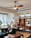 WOMO Silver and Walnut Ceiling Fan Lamp - WM5149 thumbnail