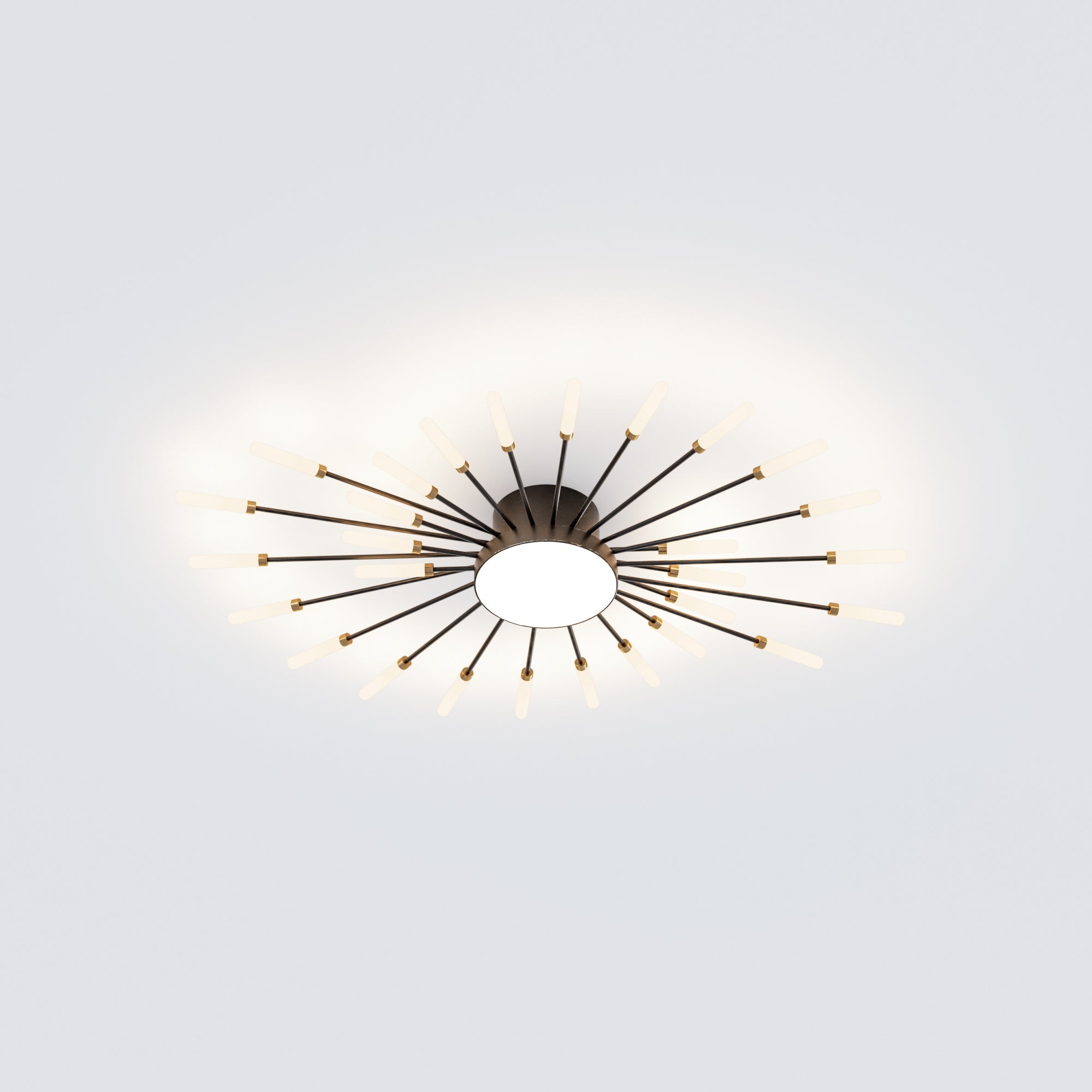WOMO Firework Sunburst Flush Mount Ceiling Light-WM1001