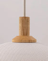 WOMO Globe Glass Pendant Light-WM2831 thumbnail