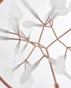 WOMO Heracleum/Firefly Small Chandelier-WM2438 thumbnail