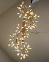 WOMO Heracleum/Firefly S-shaped Chandelier-WM2437 thumbnail