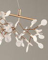 WOMO Heracleum/Firefly Linear Chandelier-WM2436 thumbnail