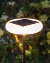 WOMO Solar Rechargeable Floor Light-WM9044 thumbnail