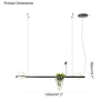 WOMO Plant Globe Pendant Light-WM2155 thumbnail