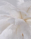 WOMO Tree Feather Table Lamp-WM8037 thumbnail