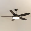 WOMO 5 Blade Ceiling Fan Lamp-WM5101 thumbnail