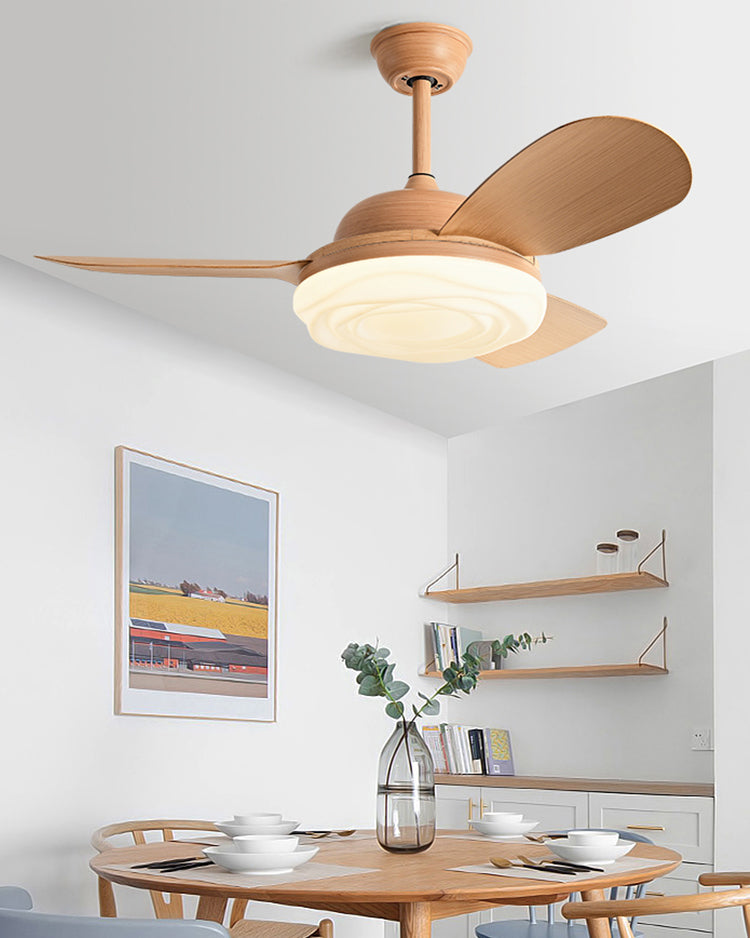 WOMO Modern Ceiling Fan with Bright Light - WM5169