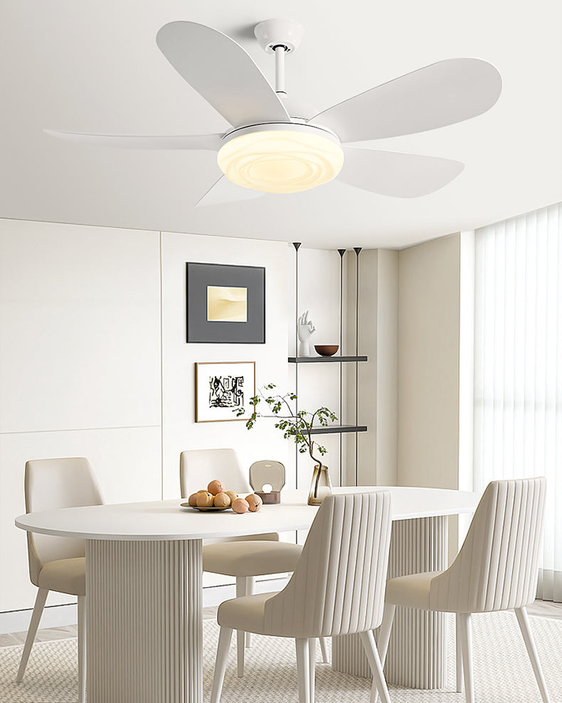 WOMO Modern Ceiling Fan with Bright Light - WM5169