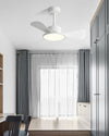 WOMO 30 inch Ceiling Fan Lamp - WM5181 thumbnail