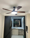WOMO 56 inch 5 Blade Ceiling Fan Lamp - WM5182 thumbnail